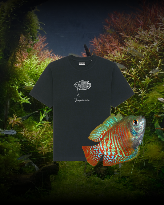 Tshirt Fadenfisch Schwarz