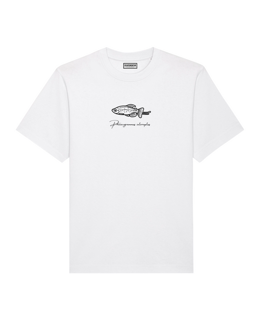 Tshirt Kongosalmler Weiß