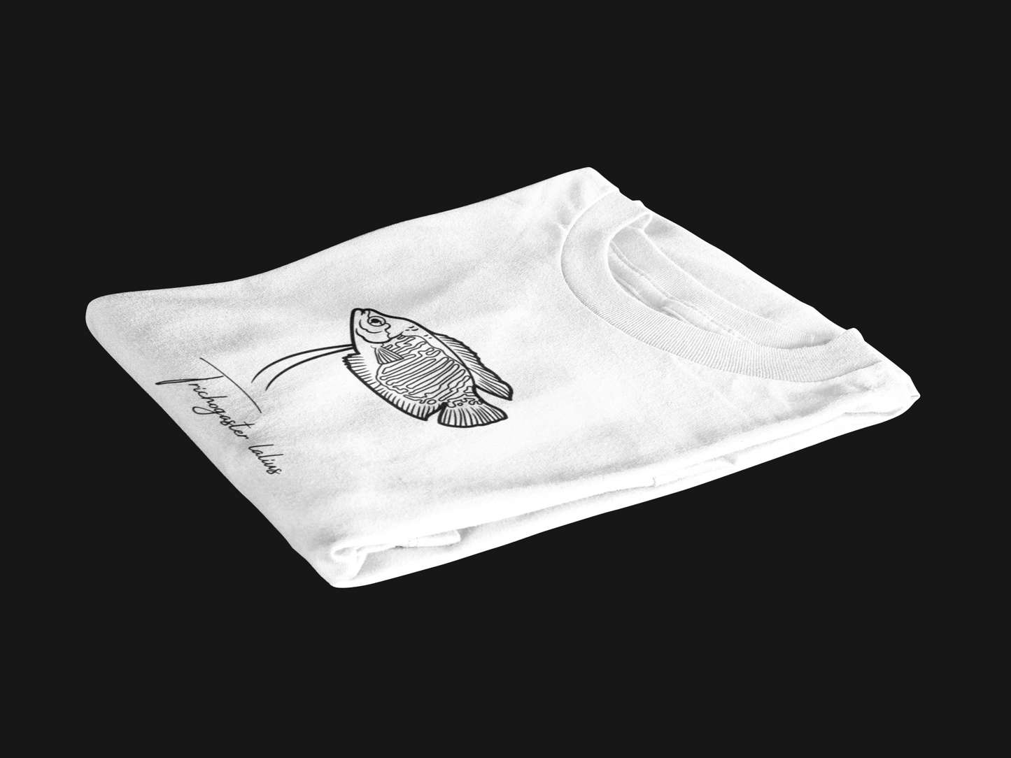 Tshirt Fadenfisch Weiß