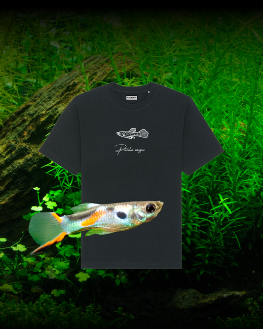 Tshirt Guppy Schwarz