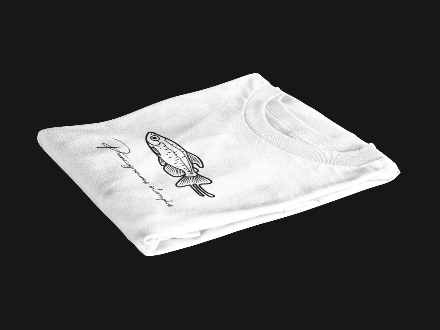 Tshirt Kongosalmler Weiß
